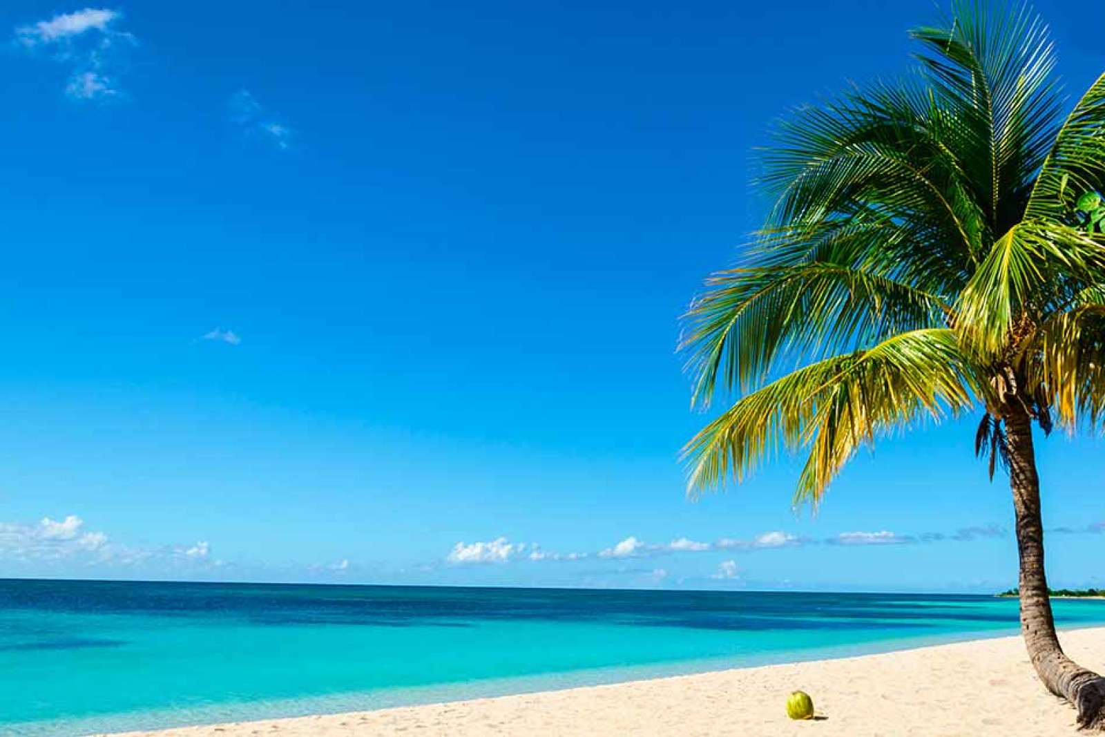 Imagen de Estar en el caribe…